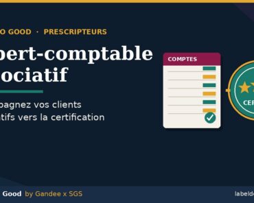 Expert-comptable associatif : accompagner ses clien ...
