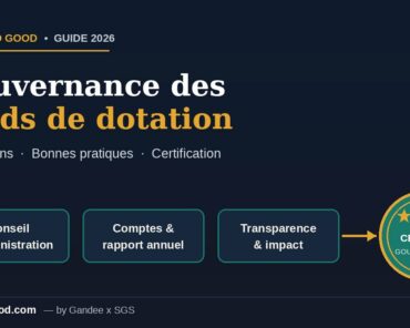 Gouvernance des fonds de dotation : obligations et  ...