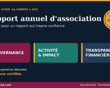 Rapport annuel d&rsquo;association : le guide compl ...